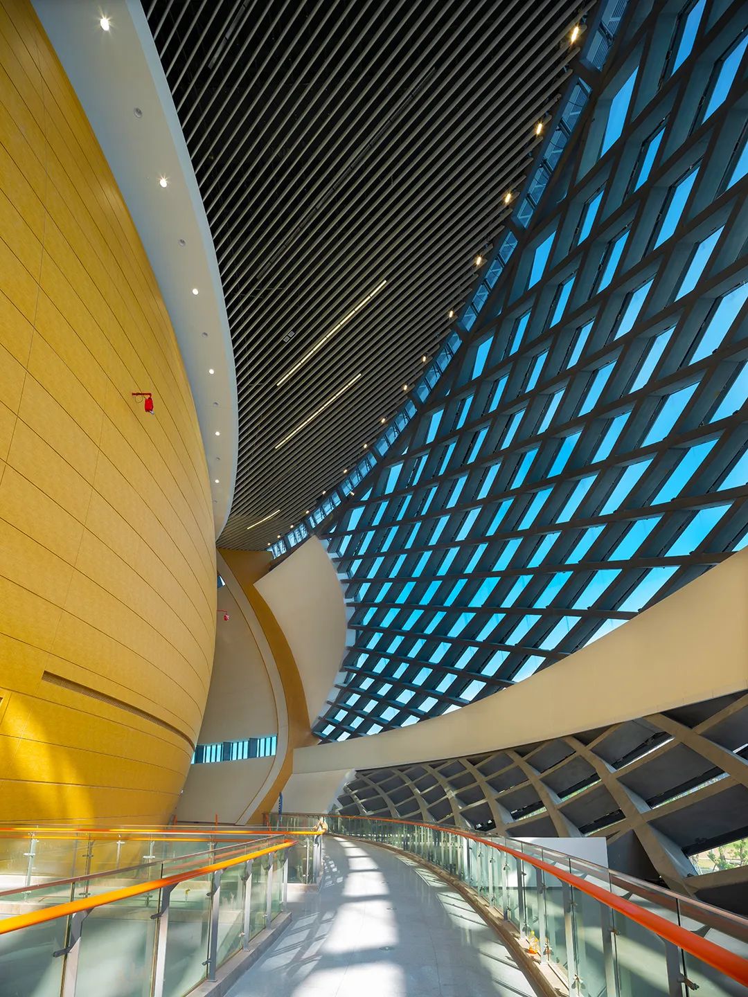 威客电竞·(中国)VKGAME