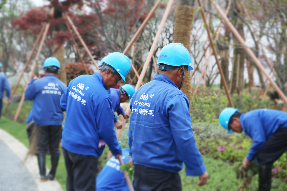 威客电竞·(中国)VKGAME