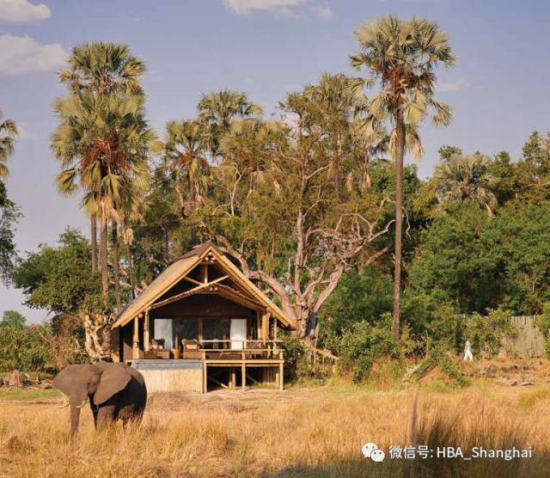 威客电竞·(中国)VKGAME