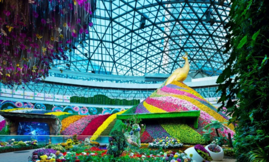 威客电竞·(中国)VKGAME