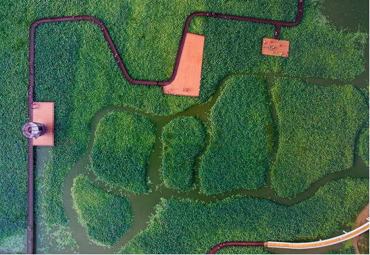 威客电竞·(中国)VKGAME