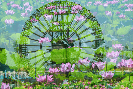 威客电竞·(中国)VKGAME