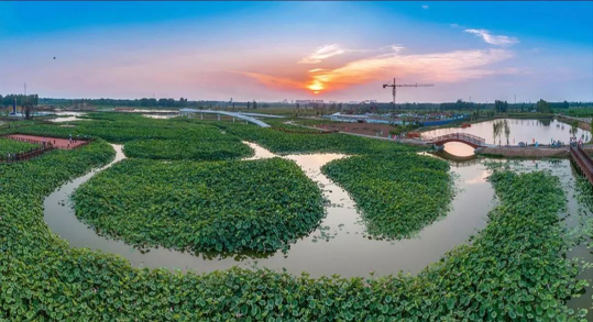 威客电竞·(中国)VKGAME