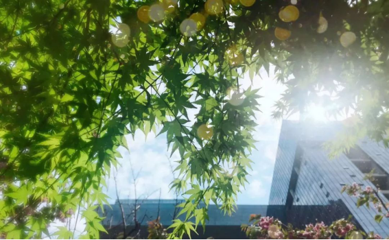 威客电竞·(中国)VKGAME