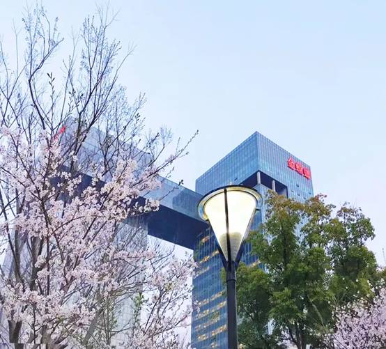 威客电竞·(中国)VKGAME