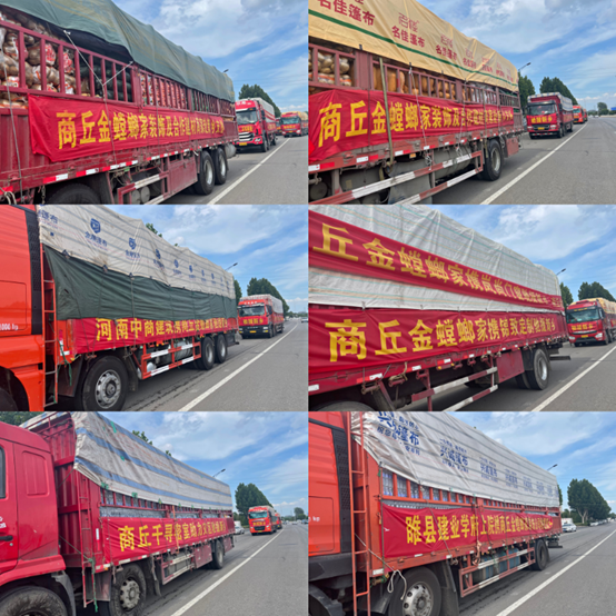 威客电竞·(中国)VKGAME