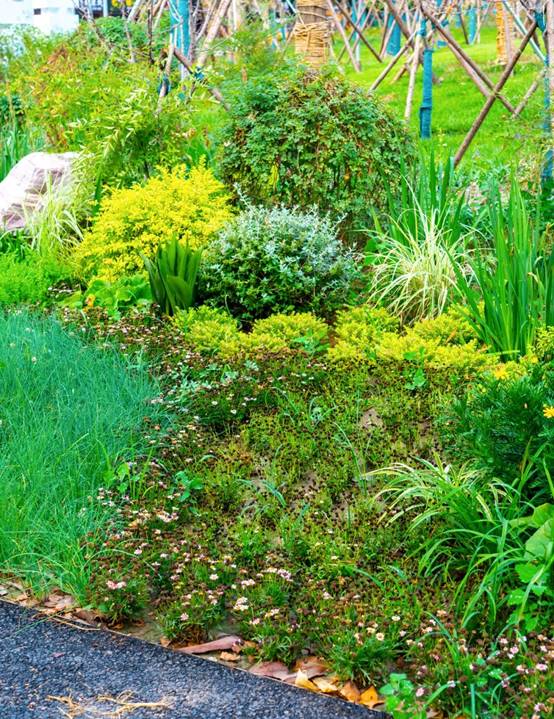 威客电竞·(中国)VKGAME