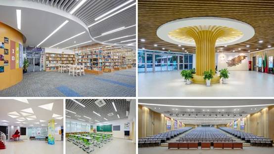 威客电竞·(中国)VKGAME